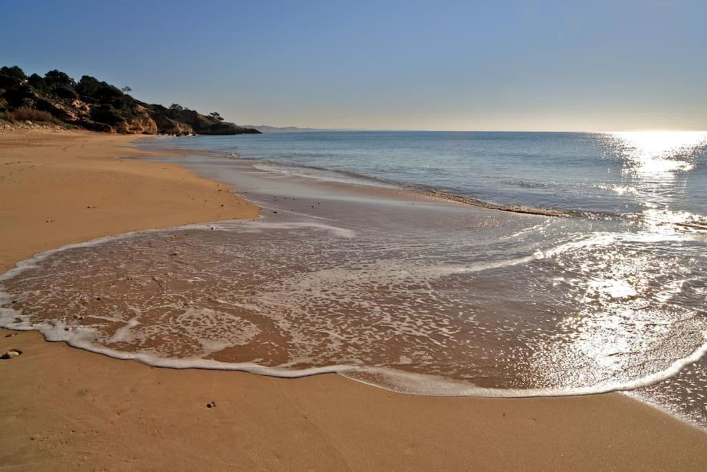 Superbe Paradis Dans Les Jardins De La Marina Albufeira Exteriör bild