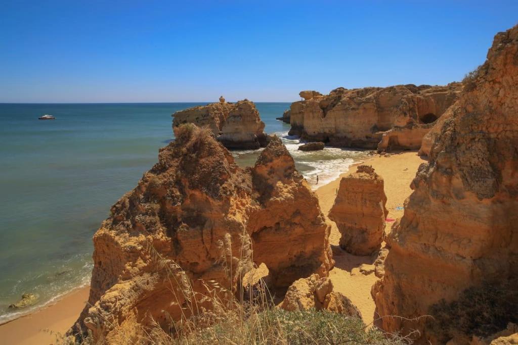 Superbe Paradis Dans Les Jardins De La Marina Albufeira Exteriör bild